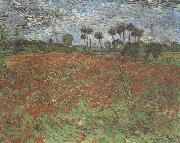 Vincent Van Gogh Field with Poppies (nn04) USA oil painting artist